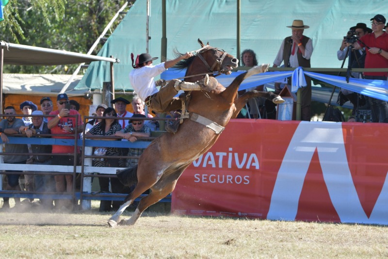 Franco Lali, de Coronel Vidal, gan� el concurso de jineteada